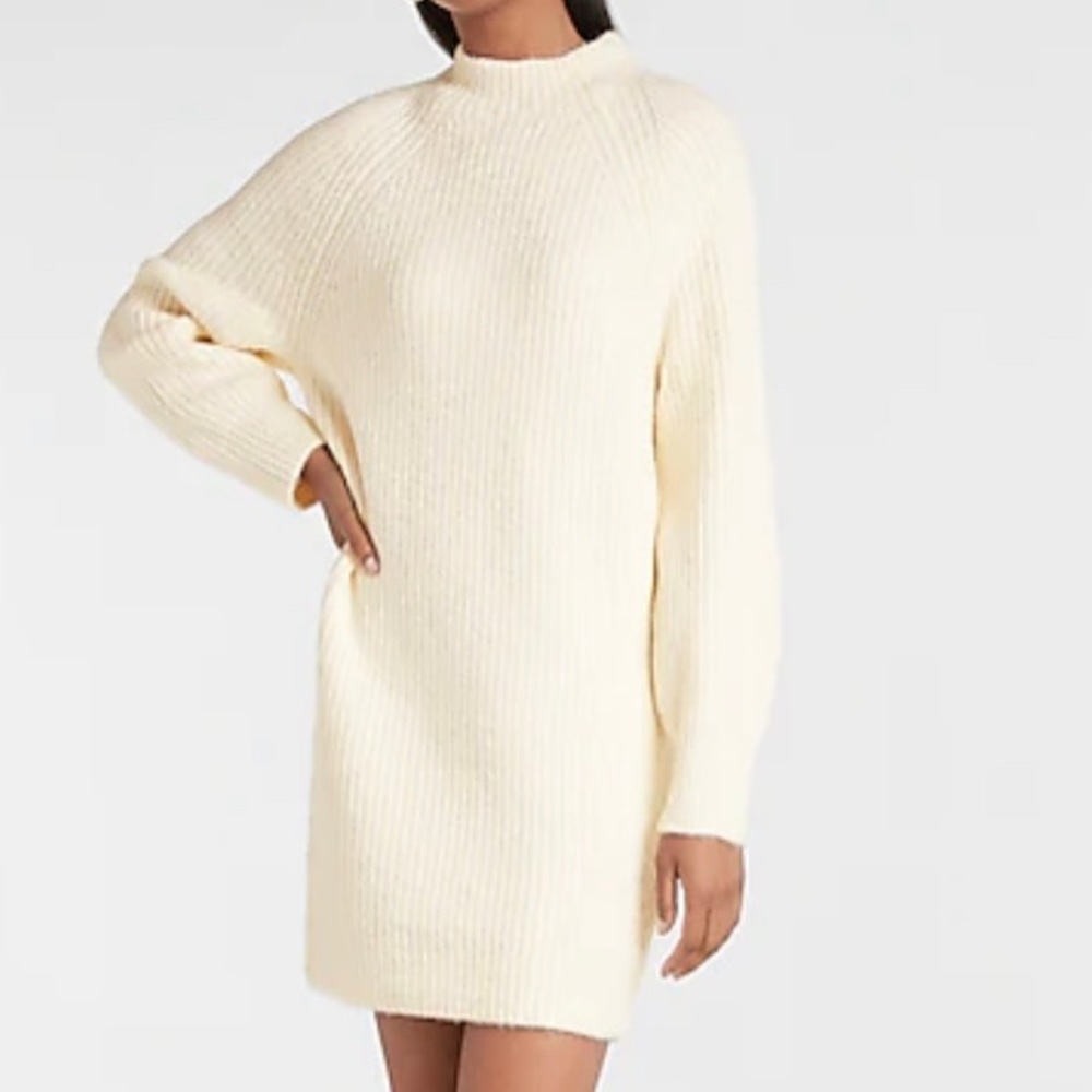 Express sweater dress